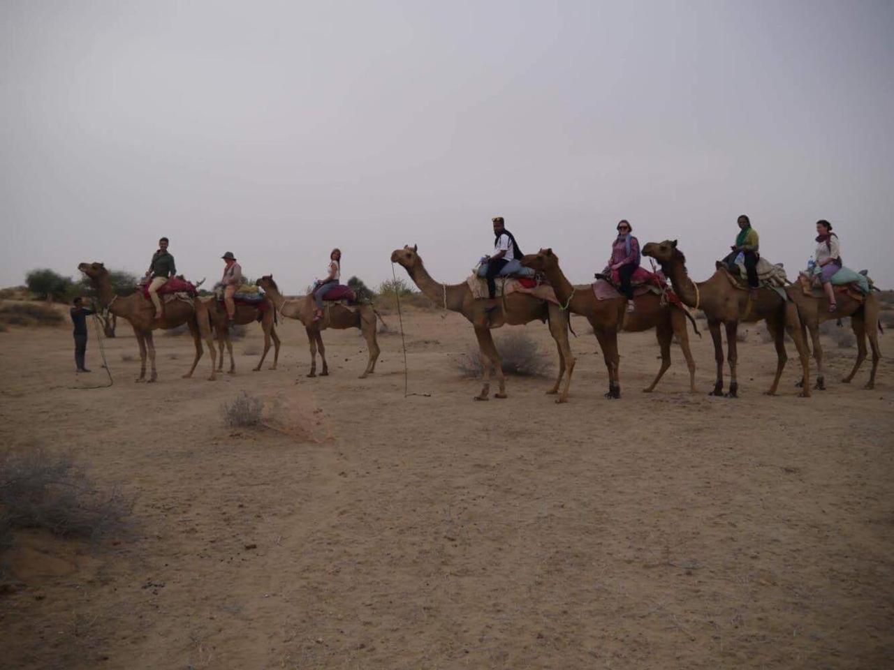 Sonal Desert Camp Jaisalmer Hotel Екстериор снимка